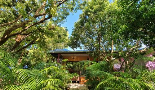 a house in the middle of a forest of trees at Warakorn Baansuan Amphawa in Amphawa