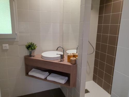 La salle de bains est pourvue d'un lavabo et d'une douche. dans l'établissement Domaine du Surgié, à Figeac