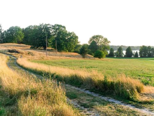 a dirt road in a field with grass and trees at Chalet Ilandet by Interhome in Gnesta