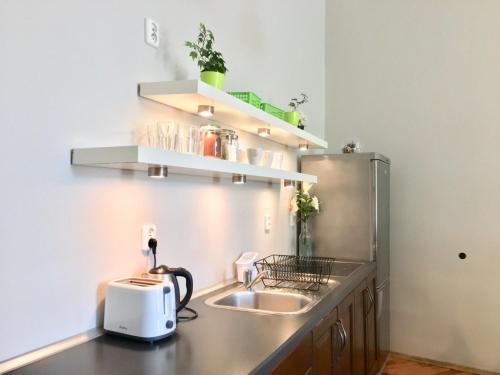 a kitchen with a sink and a toaster on a counter at Green House in Kraków