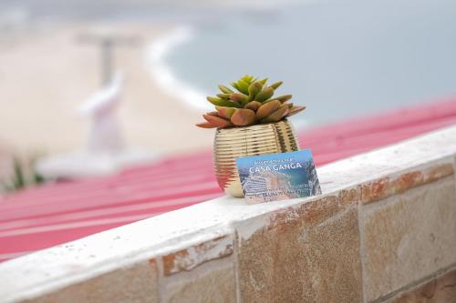 a book sitting next to a plant on a wall at Casa Ganga in Nazaré