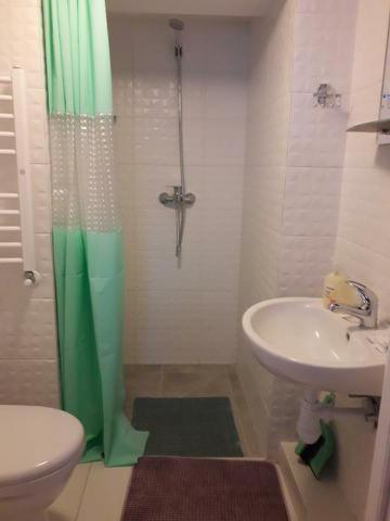 W łazience znajduje się umywalka, prysznic i toaleta. w obiekcie Pensjonat AIDA w Ciechocinku