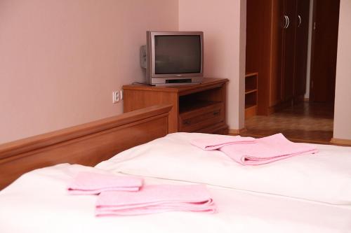 a bedroom with two beds and a television on a dresser at Milotín in Zuberec