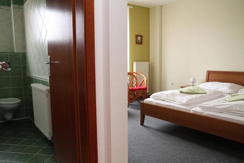 sypialnia z łóżkiem i łazienką z toaletą w obiekcie Milotín w Zuberzcu