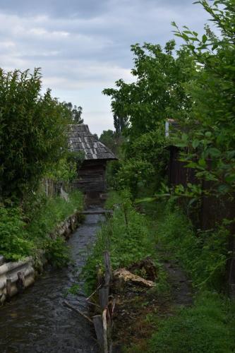 an old building next to a creek next to a house at Casa "La Moara din Grădină" in Eftimie Murgu