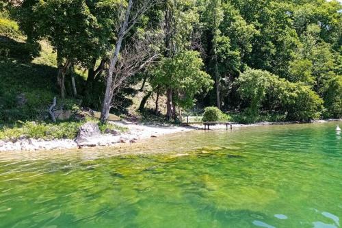 a body of water with a beach and trees at La Curtillette in Saint-Pierre-de-Curtille