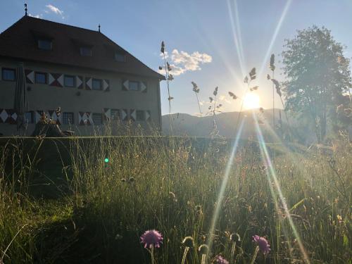 a field of tall grass next to a building at Ansitz Fonteklaus in Chiusa