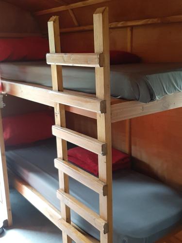 a wooden bunk bed with a ladder on it at LA ROULOTTE DE GERMAINE in Condé-sur-Vire