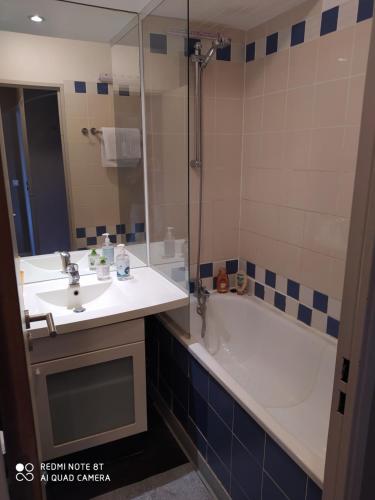 a bathroom with a tub and a sink and a shower at Le Jourdain in Paris