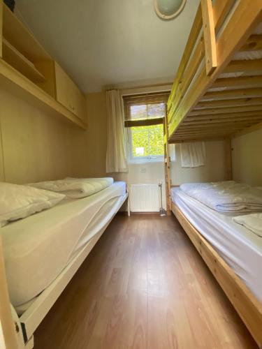 two bunk beds in a room with a window at Vakantiehuis Veluwe Wageningen in Wageningen