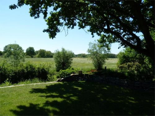 a view of a field from a yard with a tree at Haus Tourneur in Lippetal