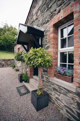 a brick building with potted plants in front of a window at Bay Tree Cottage in Hillsborough