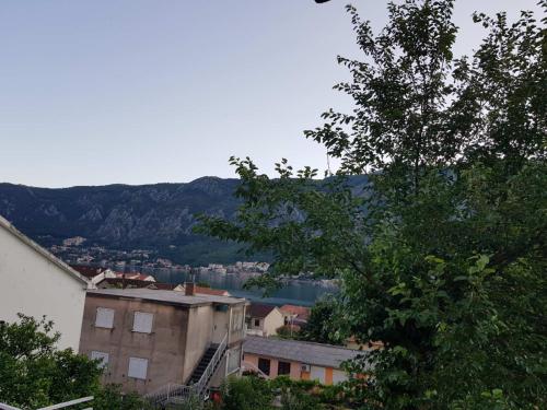 a view of a city with a mountain in the background at Modern Apartment Doris in Kotor