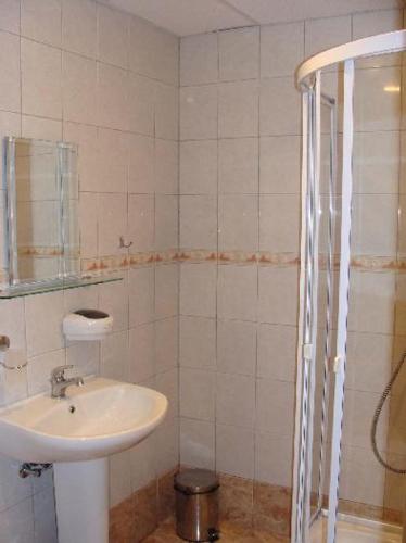 a bathroom with a sink and a shower at Madara OMAYA Guest House in Madara