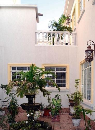 Un jardín fuera de Hotel Savoy