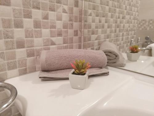 a bathroom with towels and a potted plant on a sink at Apartments Čubranić in Baška