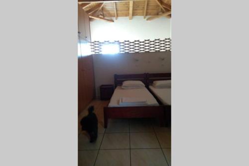 a bedroom with a bed and a cat in a room at Markos apartments 3 in Stoupa