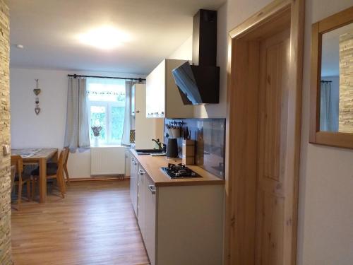 a kitchen with a stove and a counter top at Apartmány HÁJOVNA Lipno in Loučovice