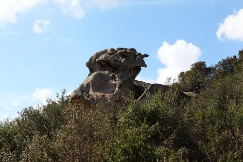 a stone lion statue on top of a hill at B&B Terra e Smeralda in Arzachena