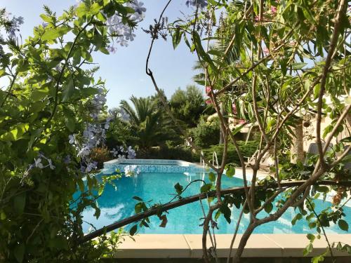 Bazén v ubytování villa Orchidee Sardegna nebo v jeho okolí