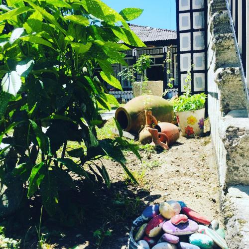a garden with a pile of toys in the dirt at Lazuri Keria Family Guesthouse in Khoni