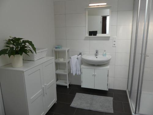 Baño blanco con lavabo y espejo en Ferienwohnung Lüdenstein, en Bad Rothenfelde