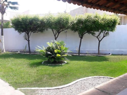 a yard with trees and a white wall at Pousada Nosso Recanto Camocim in Camocim