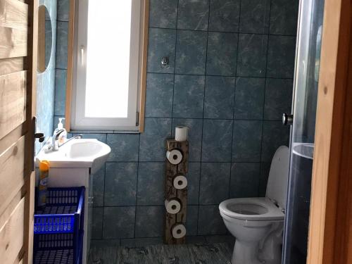 Baño pequeño con aseo y lavamanos en Domek wypoczynkowy na Mazurach - Dadaj en Wilimy