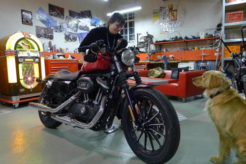 a woman sitting on a motorcycle with a dog at Hotel Haus Recke in Balve