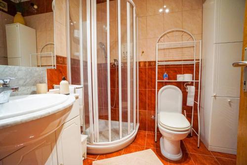 a bathroom with a toilet and a shower and a sink at Apartment Jasna in Umag