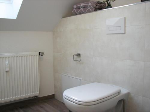 a bathroom with a white toilet in a room at Ferienzimmer Zentrum in Bad Schandau