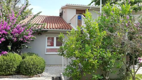 Κήπος έξω από το Haus Mirela
