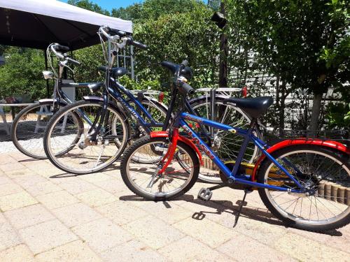 Cykling ved Comfortabel 4-persoons chalet (airco + fietsen) op Recreatiepark Eikenhof eller i nærheden