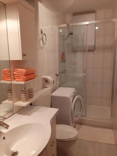 Kúpeľňa v ubytovaní Apartments Agrijan