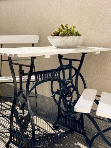 a table with a bowl of plants on top of it at Willa Mandala in Dziwnówek
