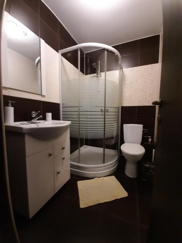 e bagno con doccia, servizi igienici e lavandino. di Casa Flamingo a Craiova
