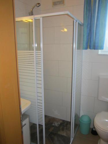 a bathroom with a shower and a toilet at Apartmenthaus Kestel Gasthof in Kirchbach