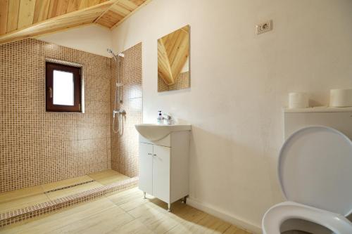 a bathroom with a toilet and a sink and a shower at Enduro Transalpina in Obarsia-Lotrului