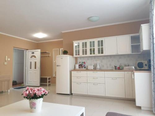 Kuchyň nebo kuchyňský kout v ubytování Rév Apartman