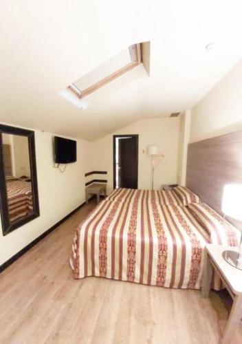 a bedroom with a bed and a sink in it at Hotel Centro Los Braseros in Burgos
