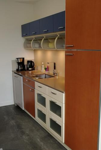 a kitchen with a sink and a refrigerator at Le coryphée : Appartement en centre ville à Abbeville in Abbeville