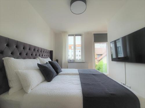 een slaapkamer met een groot bed en een televisie bij PB Ferienwohnungen - FeWo 4 - Stilvoll eingerichtetes Studio im Herzen Senftenbergs in Senftenberg