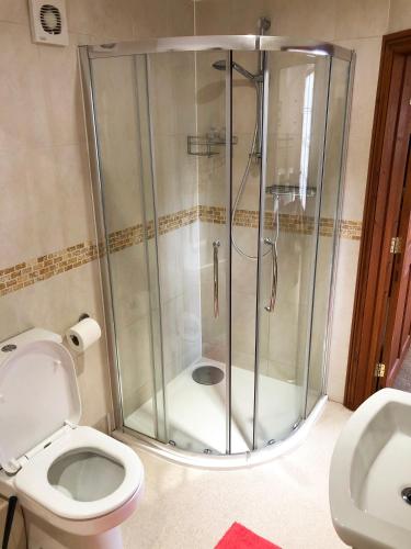 a bathroom with a shower and a toilet at The Old Mill Bed and Breakfast in Bere Regis