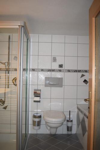 a small bathroom with a toilet and a shower at Schöne Aussicht in Bad Friedrichshall