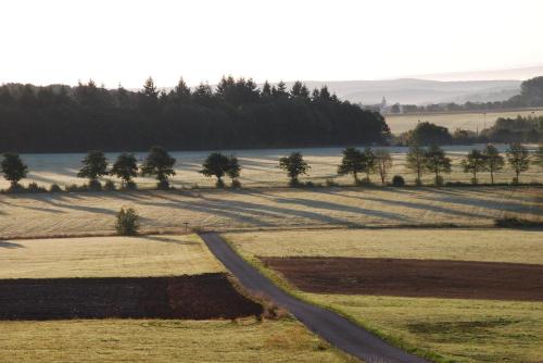 a road in the middle of a field with trees at Schinderhanneshof in Weitersborn