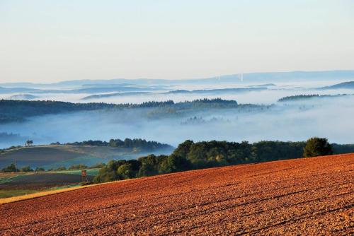 a field and a foggy valley with a field and trees at Schinderhanneshof in Weitersborn