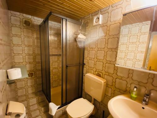 a bathroom with a shower and a toilet and a sink at Gasthaus Schlossblick in Treuchtlingen