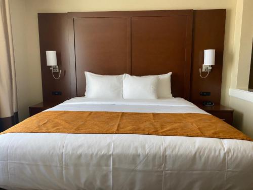 a large bed in a hotel room with two lamps at Comfort Suites Midland West in Midland