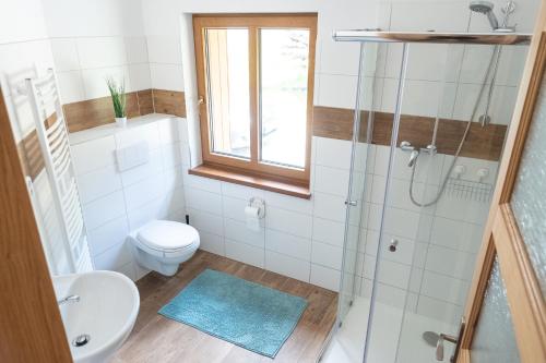 a bathroom with a toilet and a sink and a shower at Apartmány Kamenice "Kamčatka" in Březová