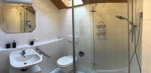 a bathroom with a shower and a toilet and a sink at Zur Weberei in Bad Tölz